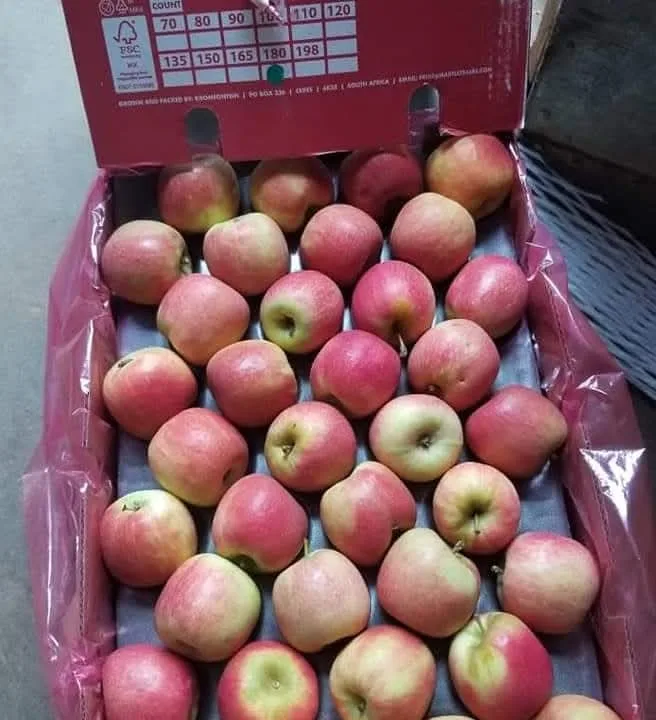 Red & Green Apples